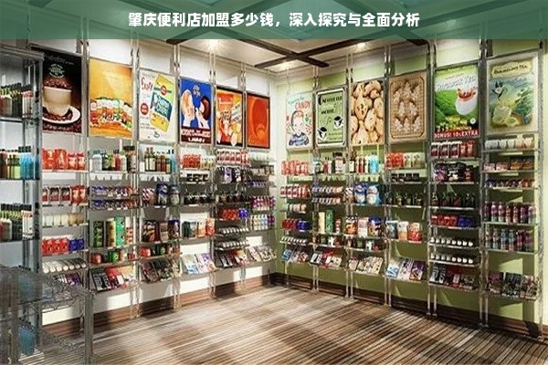 肇庆便利店加盟多少钱，深入探究与全面分析