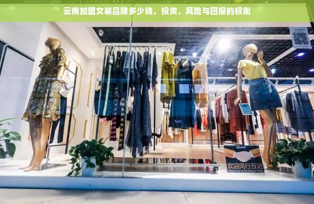 云南加盟女装品牌多少钱，投资、风险与回报的权衡