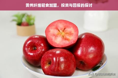 贵州纤维轻食加盟，投资与回报的探讨