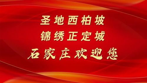 石家庄辣条加盟多少钱，深入探索背后的商业逻辑与未来展望