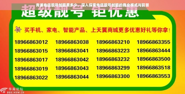 青浦电信靓号加盟费多少，深入探索电信靓号加盟的商业模式与前景