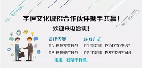 四川加盟奶茶成本多少，深入探究与全面分析