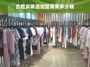 合肥女装店加盟费用全解析，成本、策略与选择