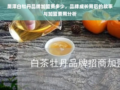 鹰潭白牡丹品牌加盟费多少，品牌成长背后的故事与加盟费用分析