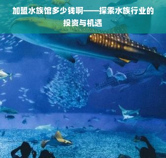 加盟水族馆多少钱啊——探索水族行业的投资与机遇