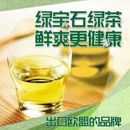 探索石家庄酵素品牌加盟，多维度解析费用与市场潜力