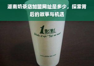 湖南奶茶店加盟网址是多少，探索背后的故事与机遇