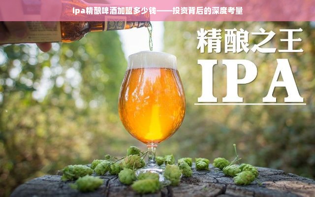 ipa精酿啤酒加盟多少钱——投资背后的深度考量