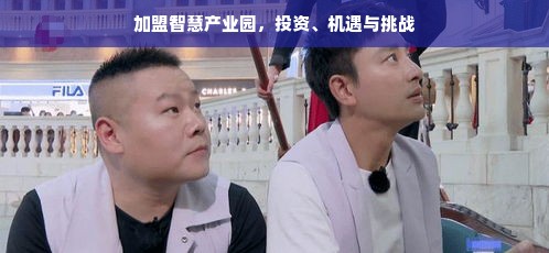 加盟智慧产业园，投资、机遇与挑战