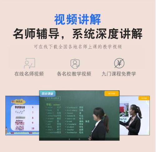 沈阳小主播加盟费用全解析，投入与收益的双重考量