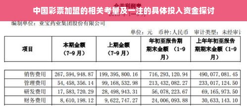 中国彩票加盟的相关考量及一注的具体投入资金探讨