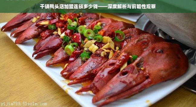 干锅鸭头店加盟连锁多少钱——深度解析与前瞻性观察