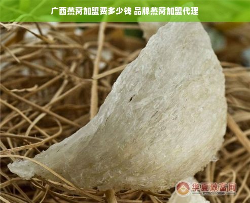 广西燕窝加盟费多少钱 品牌燕窝加盟代理