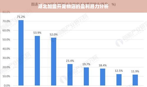 湖北加盟开宠物店的盈利潜力分析