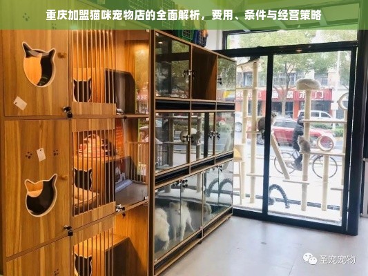 重庆加盟猫咪宠物店的全面解析，费用、条件与经营策略