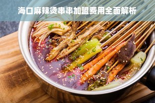 海口麻辣烫串串加盟费用全面解析