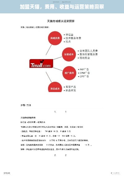 加盟天猫，费用、收益与运营策略洞察