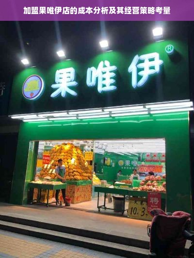 加盟果唯伊店的成本分析及其经营策略考量