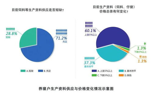 商丘加盟小零食店门槛究竟需要多少投入，看区域特征与经营风险应对分析