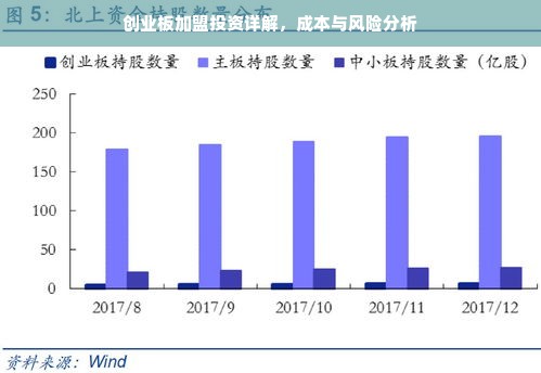 创业板加盟投资详解，成本与风险分析