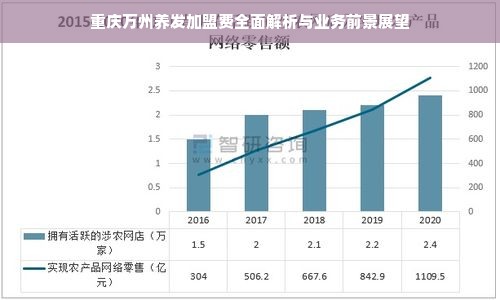 重庆万州养发加盟费全面解析与业务前景展望