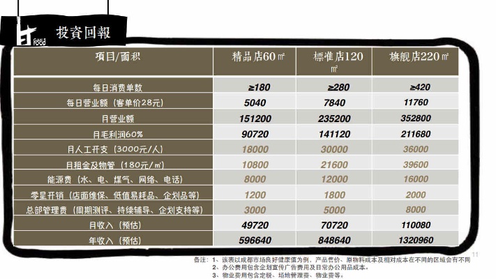 青禾耳道加盟投资解析，多元因素考量下的成本与收益分析