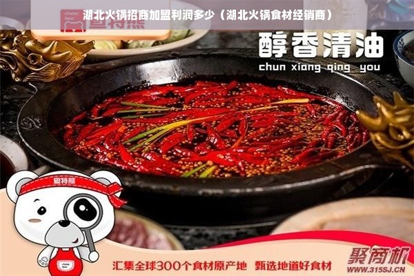 湖北火锅招商加盟利润多少（湖北火锅食材经销商）