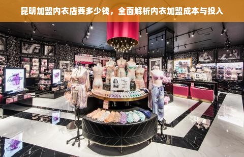 昆明加盟内衣店要多少钱，全面解析内衣加盟成本与投入