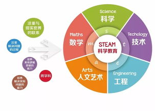 加盟新东方教育需要多少钱？一文带你深度了解投资成本与潜在收益