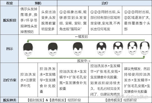 永川治疗脱发加盟费用解析，投资成本与潜在收益的平衡考量