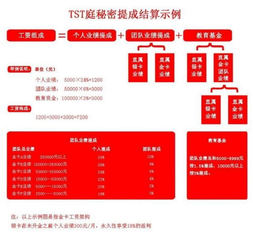 阿里巴巴微商加盟费用详解及多方面因素考察