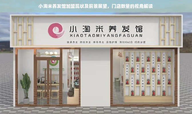 小淘米养发馆加盟现状及前景展望，门店数量的视角解读