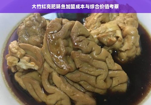 大竹红亮肥肠鱼加盟成本与综合价值考察