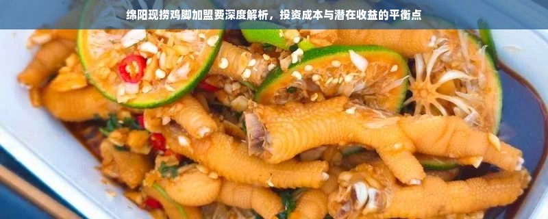 绵阳现捞鸡脚加盟费深度解析，投资成本与潜在收益的平衡点