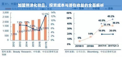 加盟熊津化妆品，投资成本与潜在收益的全面解析