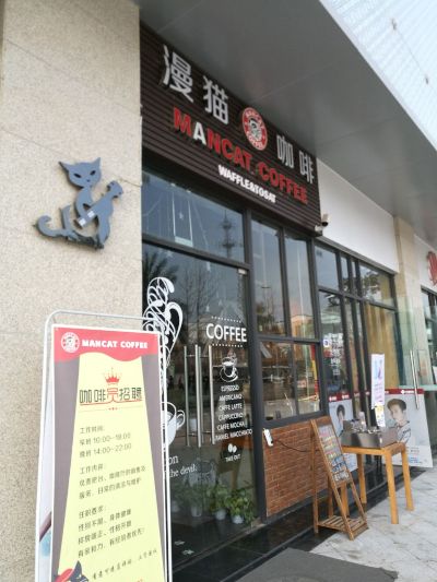 漫猫咖啡店加盟费用及考量要素详探