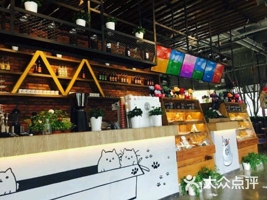 漫猫咖啡店加盟费用及考量要素详探