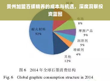 贵州加盟百援精养的成本与机遇，深度洞察投资蓝图