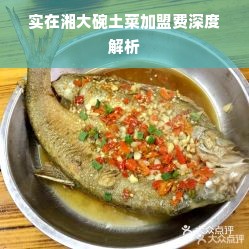 实在湘大碗土菜加盟费深度解析