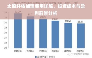 太原纤体加盟费用详解，投资成本与盈利前景分析