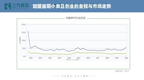 加盟益阳小食品创业的金额与市场走势