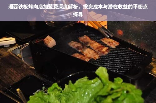 湘西铁板烤肉店加盟费深度解析，投资成本与潜在收益的平衡点探寻