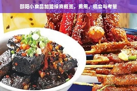 邵阳小食品加盟投资概览，费用、机会与考量