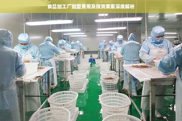 食品加工厂加盟费用及投资要素深度解析