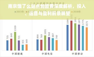 南京饿了么站点加盟费深度解析，投入、运营与盈利前景展望