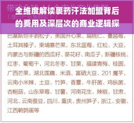 全维度解读裹药汗法加盟背后的费用及深层次的商业逻辑探究