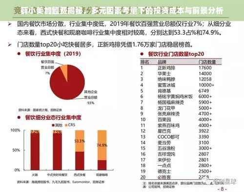 薛小美加盟费揭秘，多元因素考量下的投资成本与前景分析