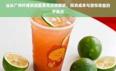 汕头广州柠檬茶加盟费用深度解析，投资成本与潜在收益的平衡点