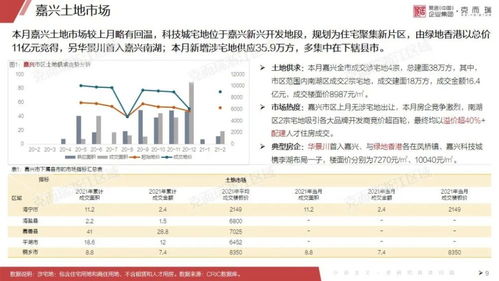 湖州加盟小主播费用详解，投资成本与潜在收益的平衡艺术