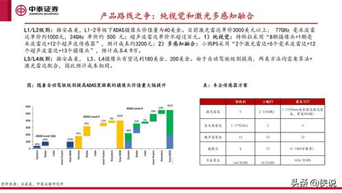 代理商加盟费全面解析，资金投入，路径规划与其背后的商业价值